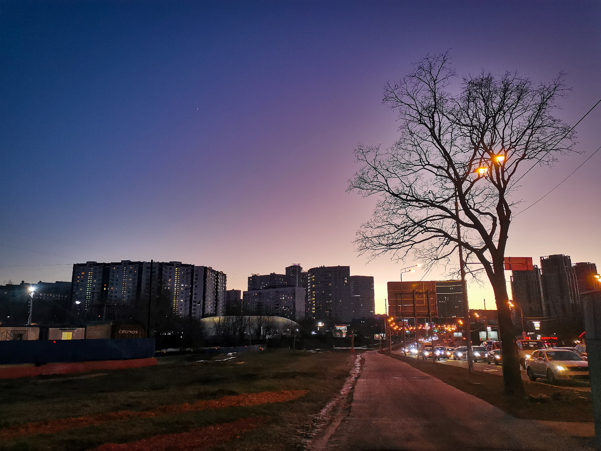 19 января 2025 года. Снега практически нет