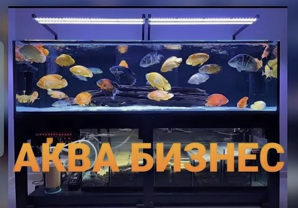 КАК ЗАРАБОТАТЬ на ХОББИ?