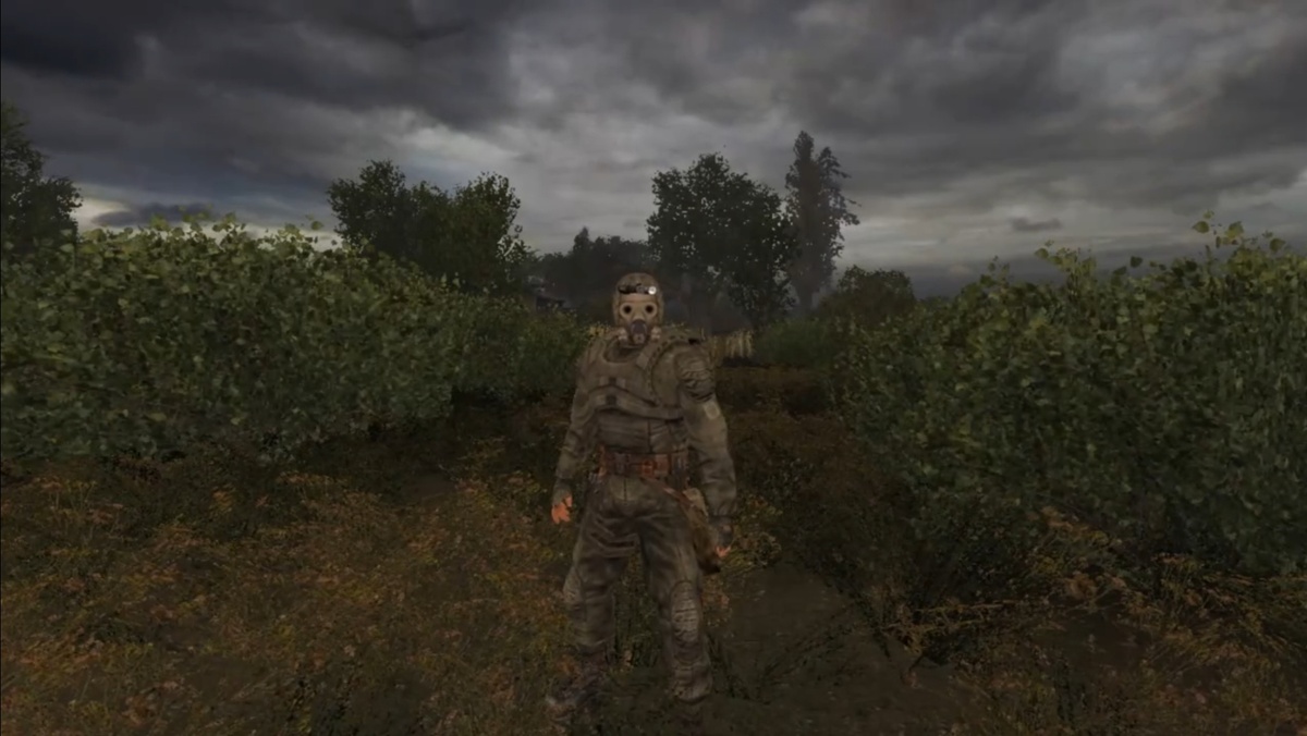 Кондор под прикрытием Вятича