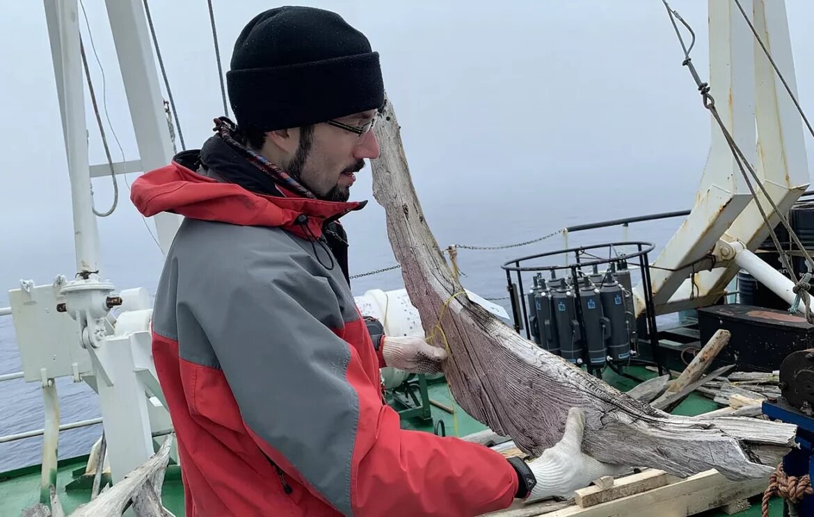 ©Ирина Скалина/ТАСС