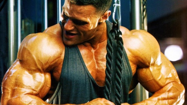 Вы считаете такое красивым?
