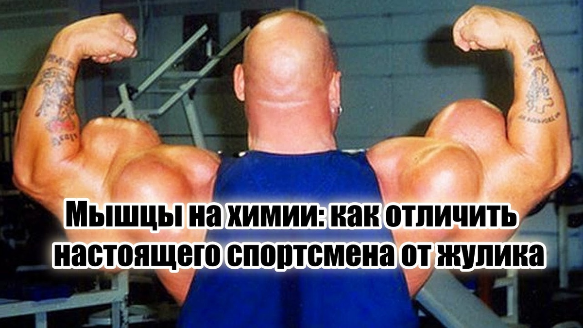 Неужели такие «герои» — это и есть эталон силы?
