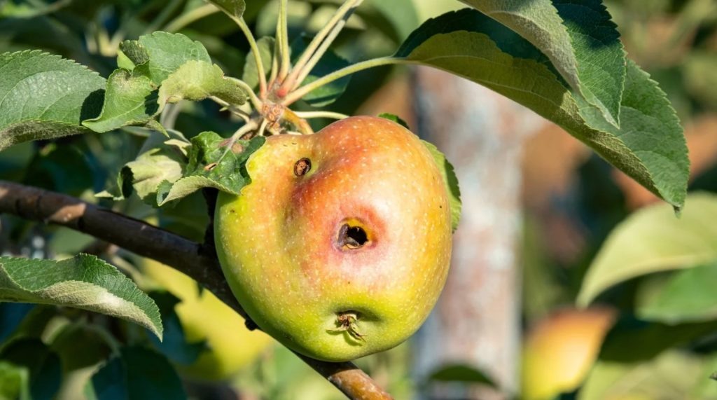 Фото из архива