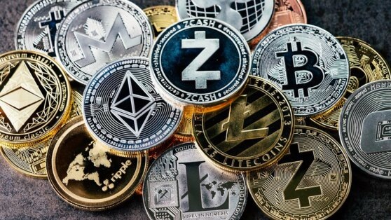    Мелания Трамп вслед за мужем запустила собственную криптовалюту Андрей Галкин