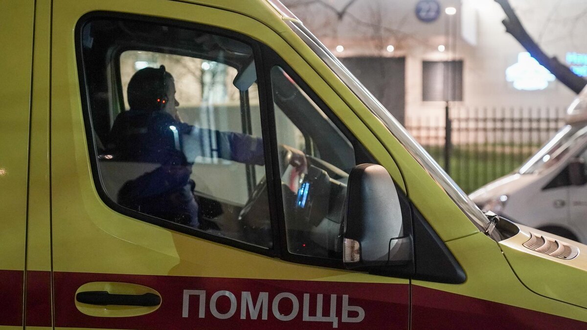    Фото: ИЗВЕСТИЯ/Эдуард Корниенко