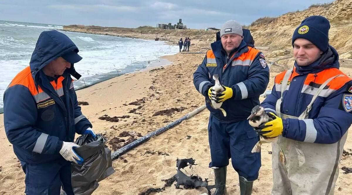 Фото из Интернет