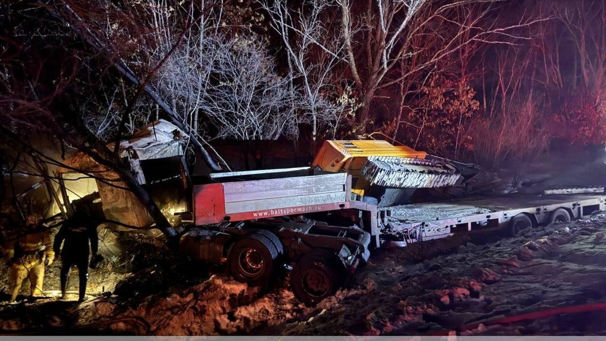     Источник: prosecutor_pk