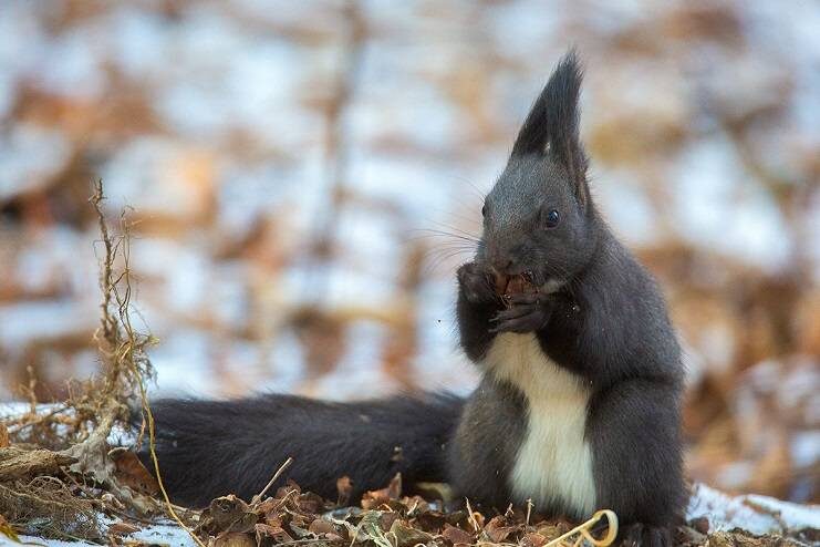    Источник фото: Ольга Васик