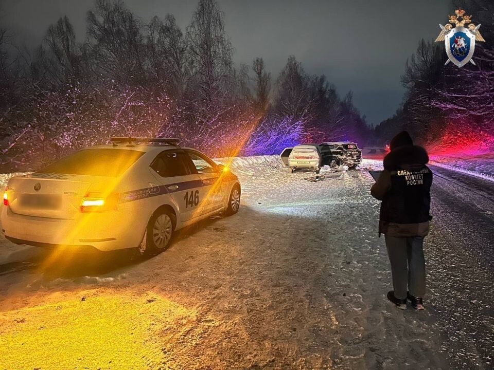    ДТП в Республике Алтай. Источник: Следком по Республике Алтай