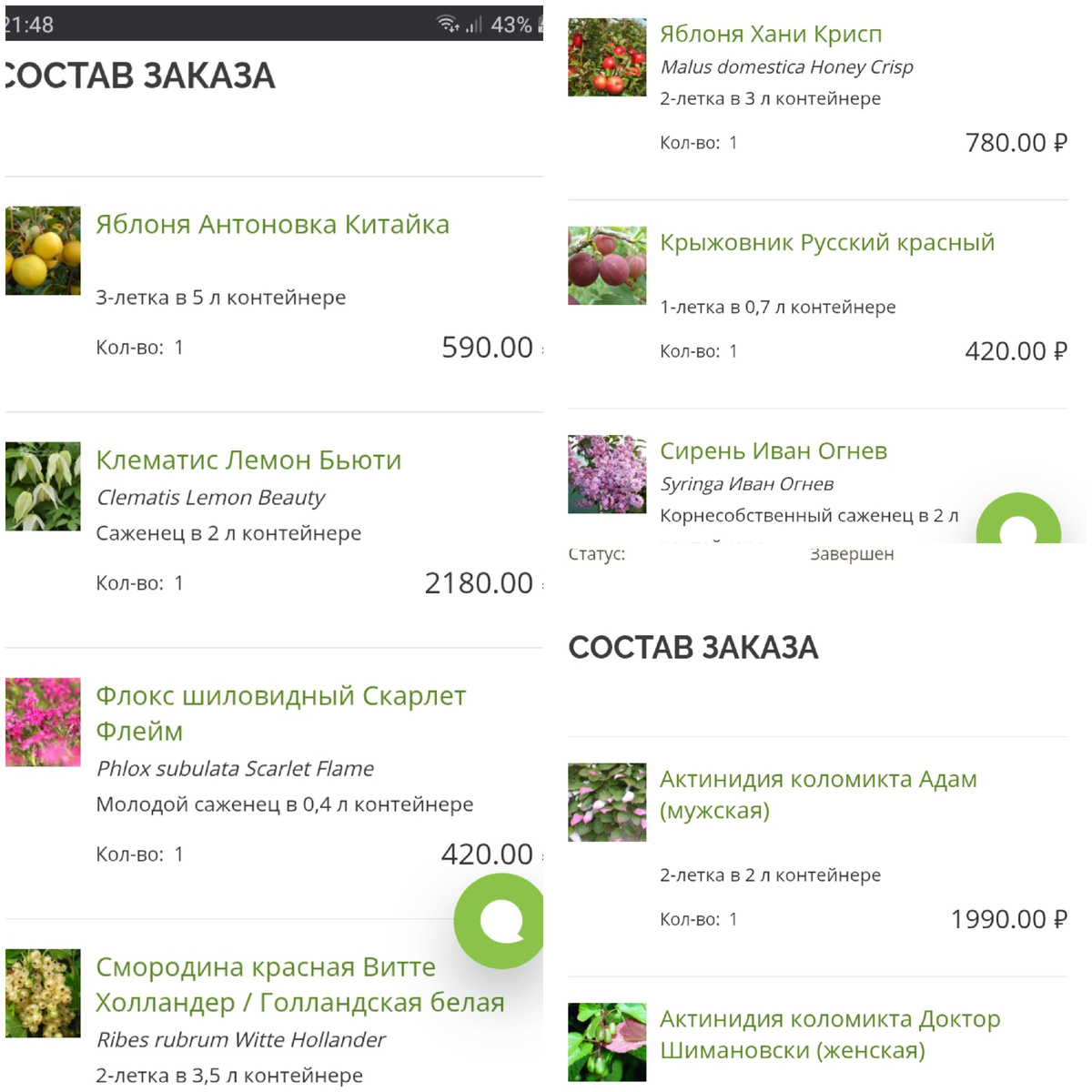 Скриншот заказа.