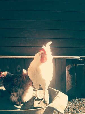 Личное фото