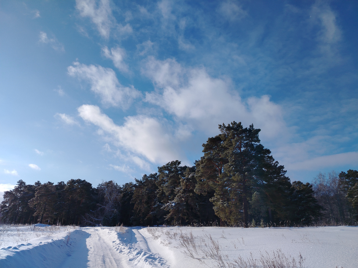 Входим в лес