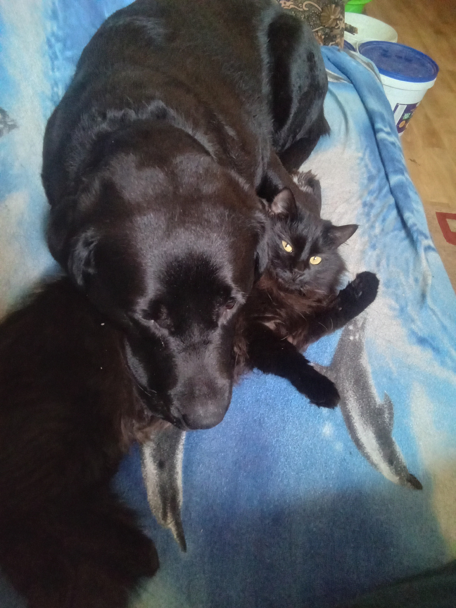 Фото автора.