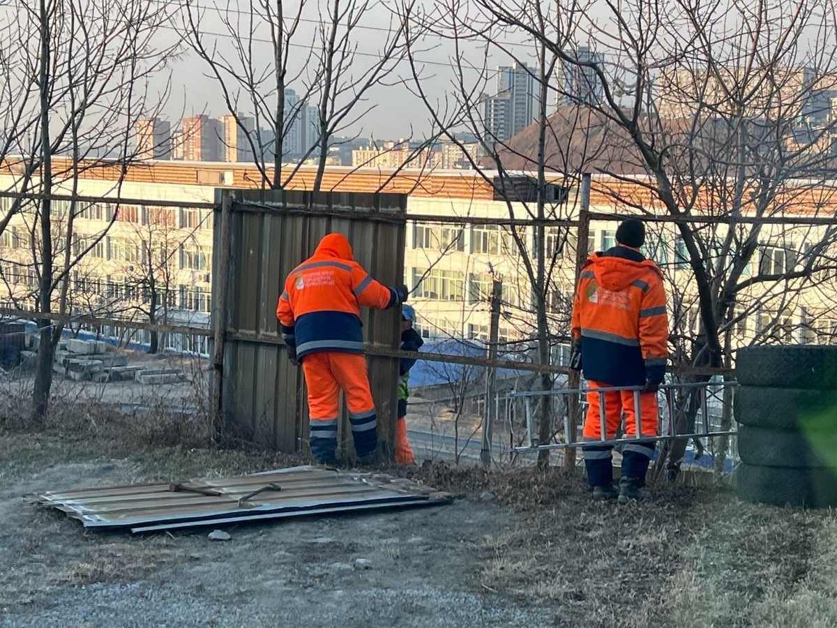     Источник: vlc.ru