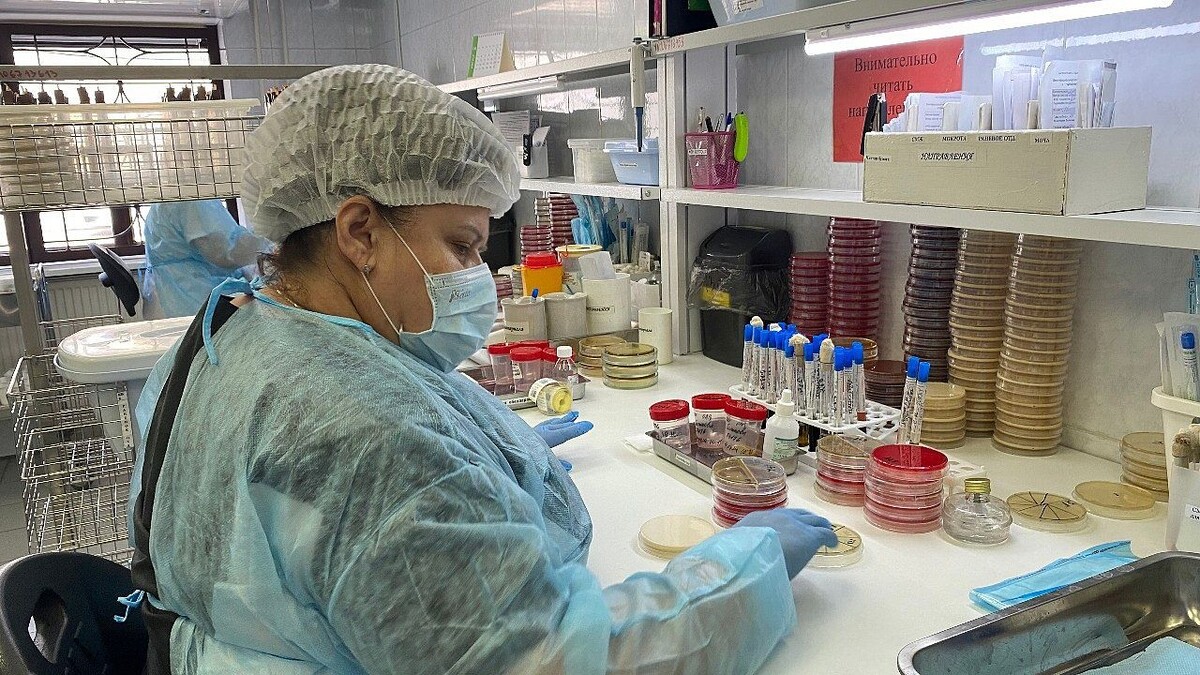    Фото: телеканал «Краснодар»