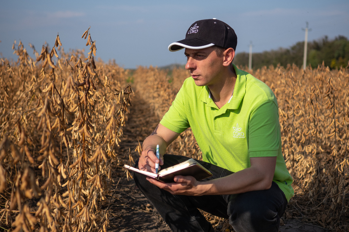 руководитель отдела селекции Компании «СОКО», кандидат сельскохозяйственных наук Альберт Валерьевич Щегольков