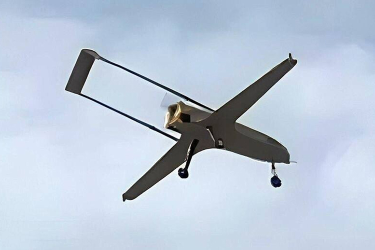 Ан-196 в полёте