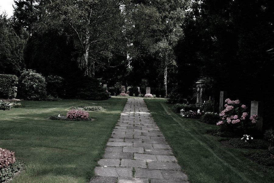 Умер директор компании: что делать?