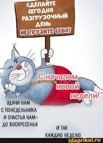 Фото из сети Интернет