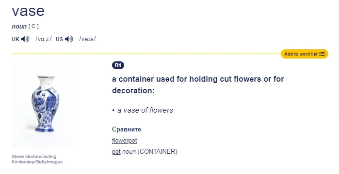 Cambridge Dictionary