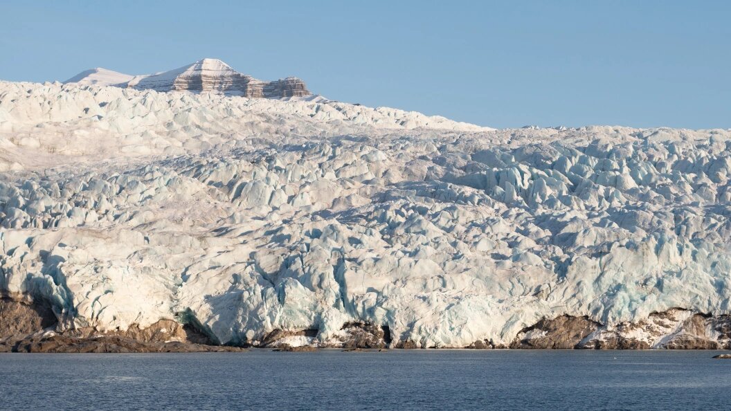    фото: Sebastian Kahnert/dpa/Globallookpress