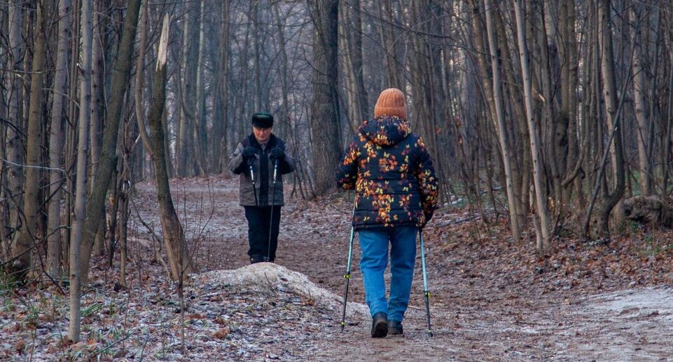    Oksana Korol/Business Online / Global Look Press