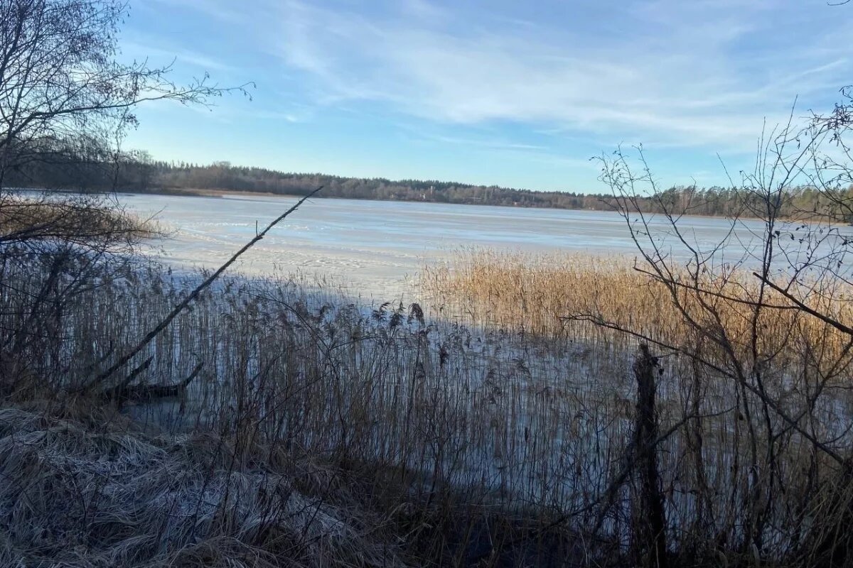    Тело мужчины обнаружили в озере Боровенское в Островском районе