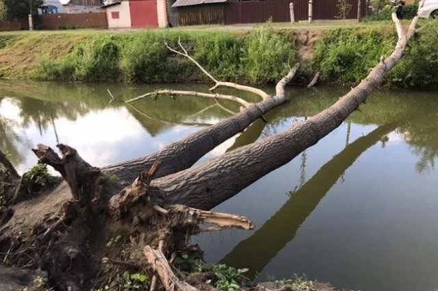    Здесь нашли останки девочки. Фото:  АиФ/ Дарья Тяжина