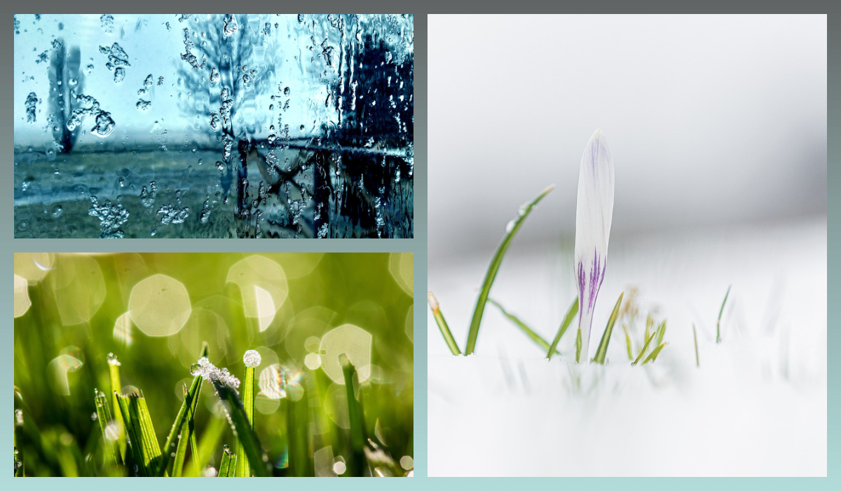 Оттепель/pixabay.com