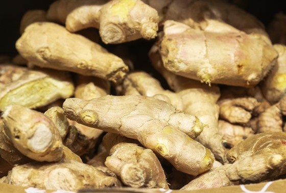    Как выбрать имбирь и зачем он нужен