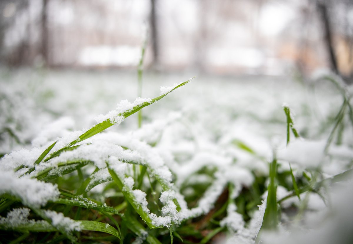 полезные лайфхаки от Силы Суздаля