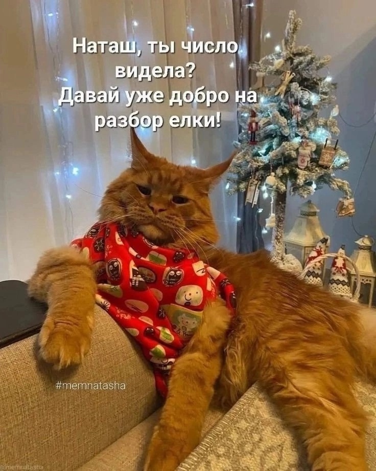 иллюстрация из яндекс картинки.