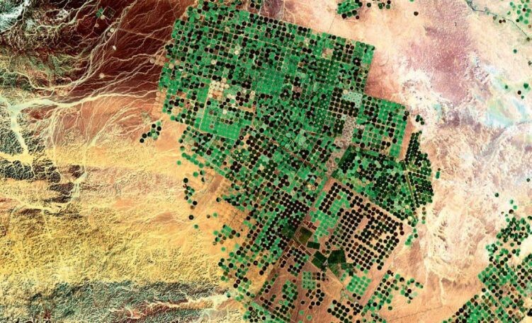 Поля в долине Вади-эс-Сирхан (провинция Эль-Джауф) / Источник: latifundist.com