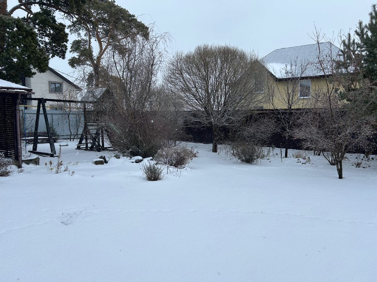 Структура сада