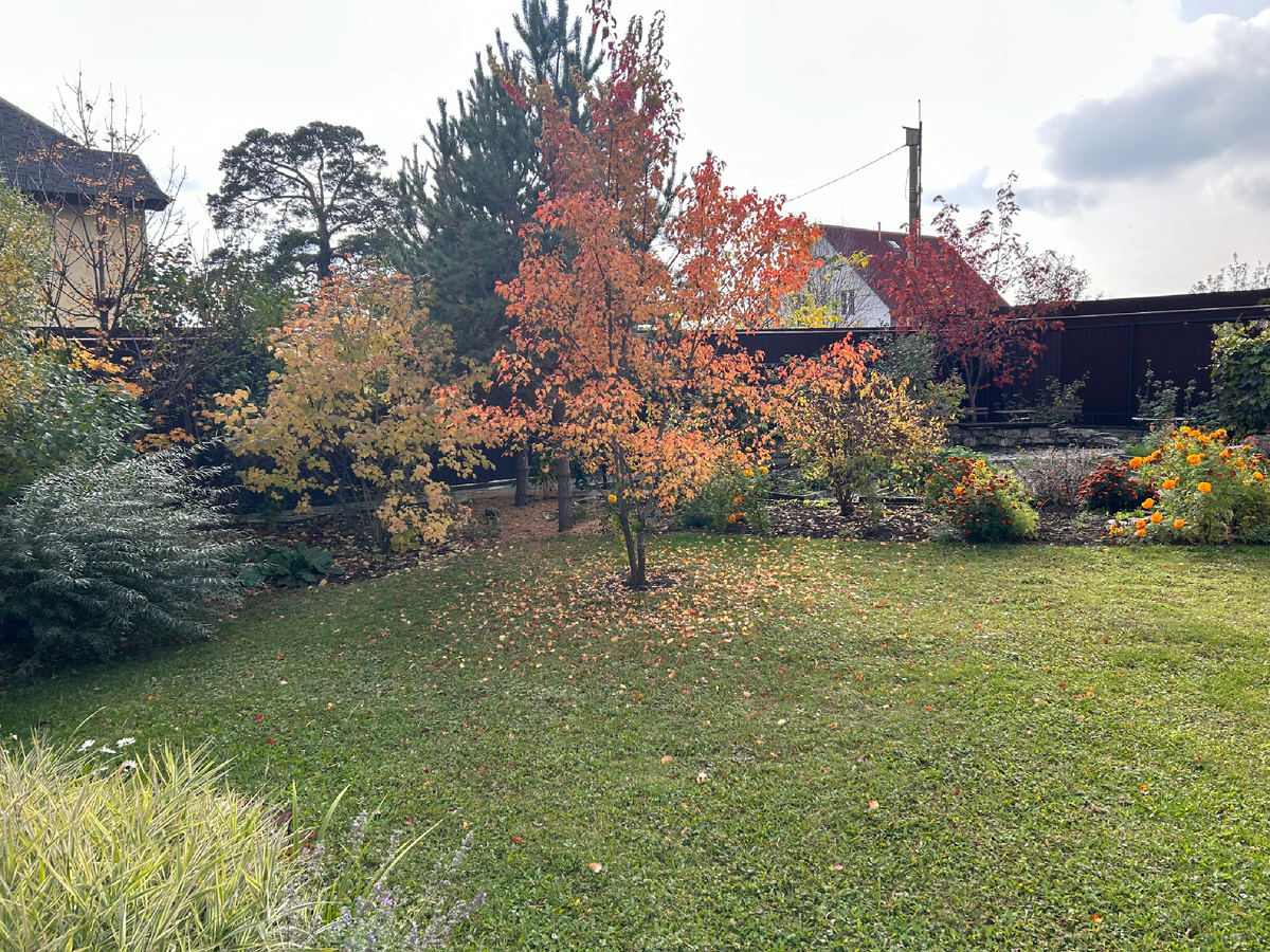 Листайте галерею... 