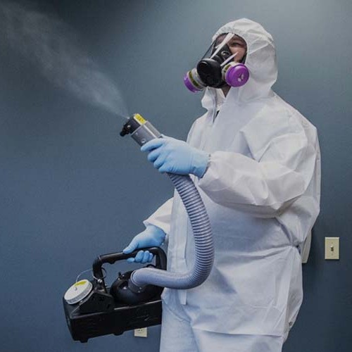 Дезинфекция от клопов и тараканов у метро Чеховская: надежный способ избавиться от вредителей