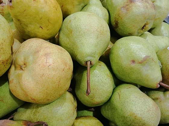 Фото: Оксана Котова