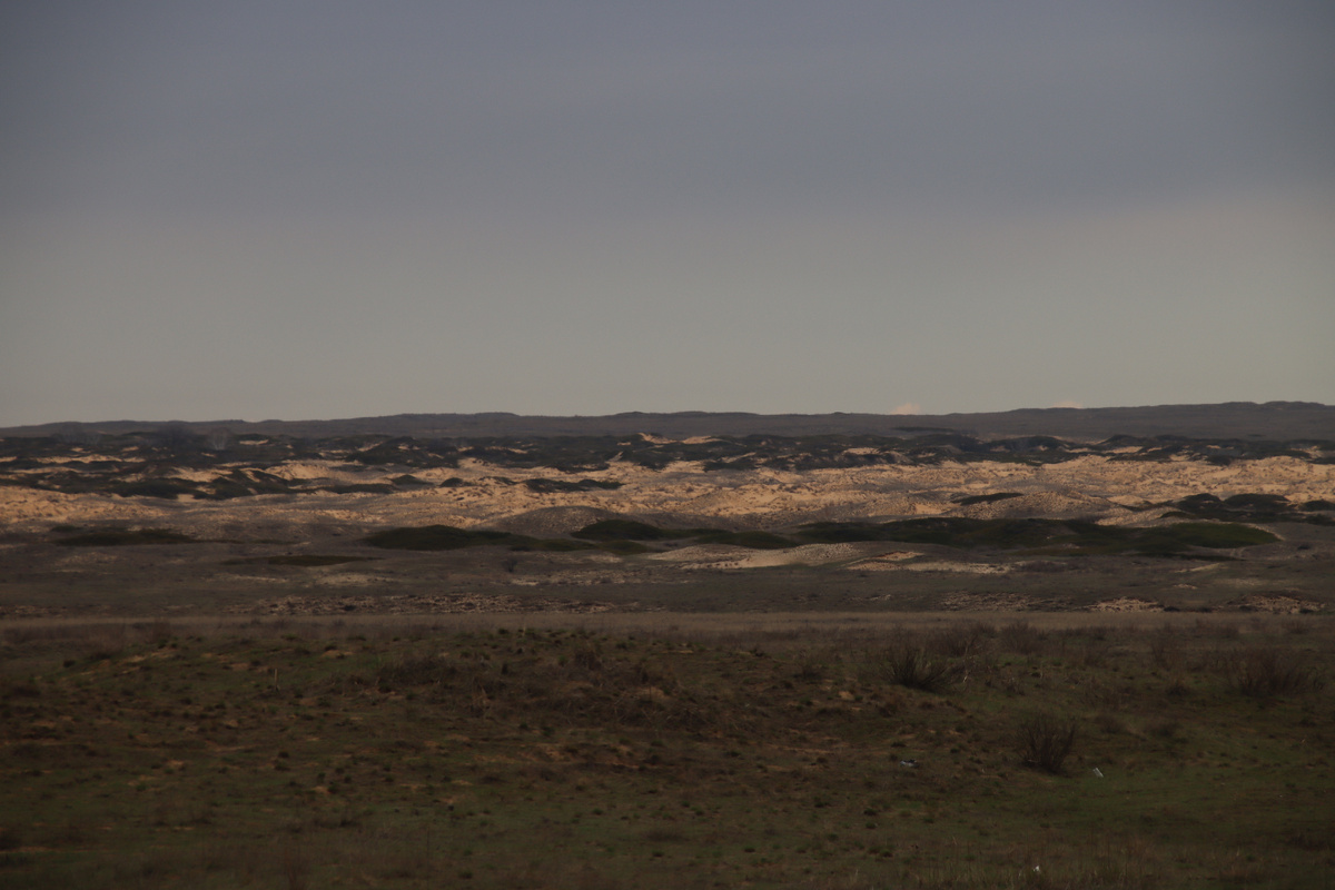 Вот такой пейзаж