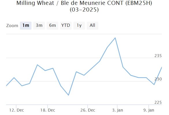 Мартовский фьючерс, Париж, евро/тонна