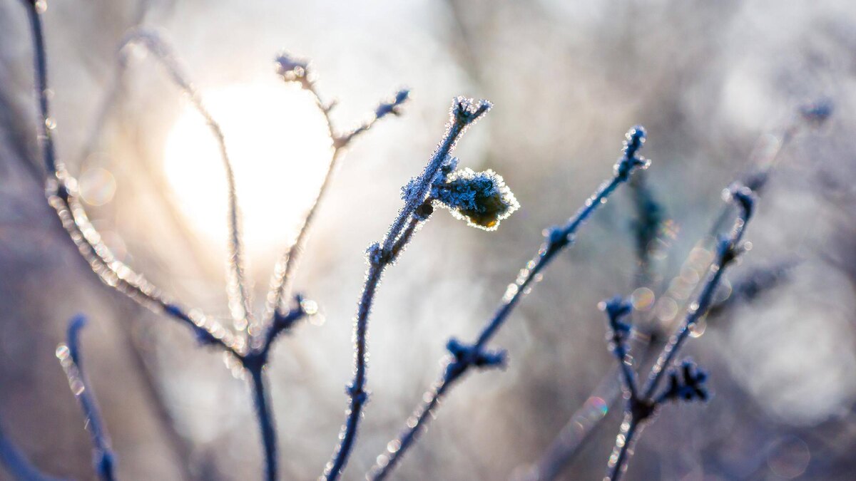    Фото: IMAGO/globallookpress.com