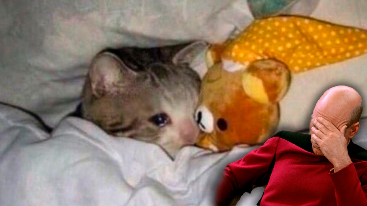 Фото с просторов интернета