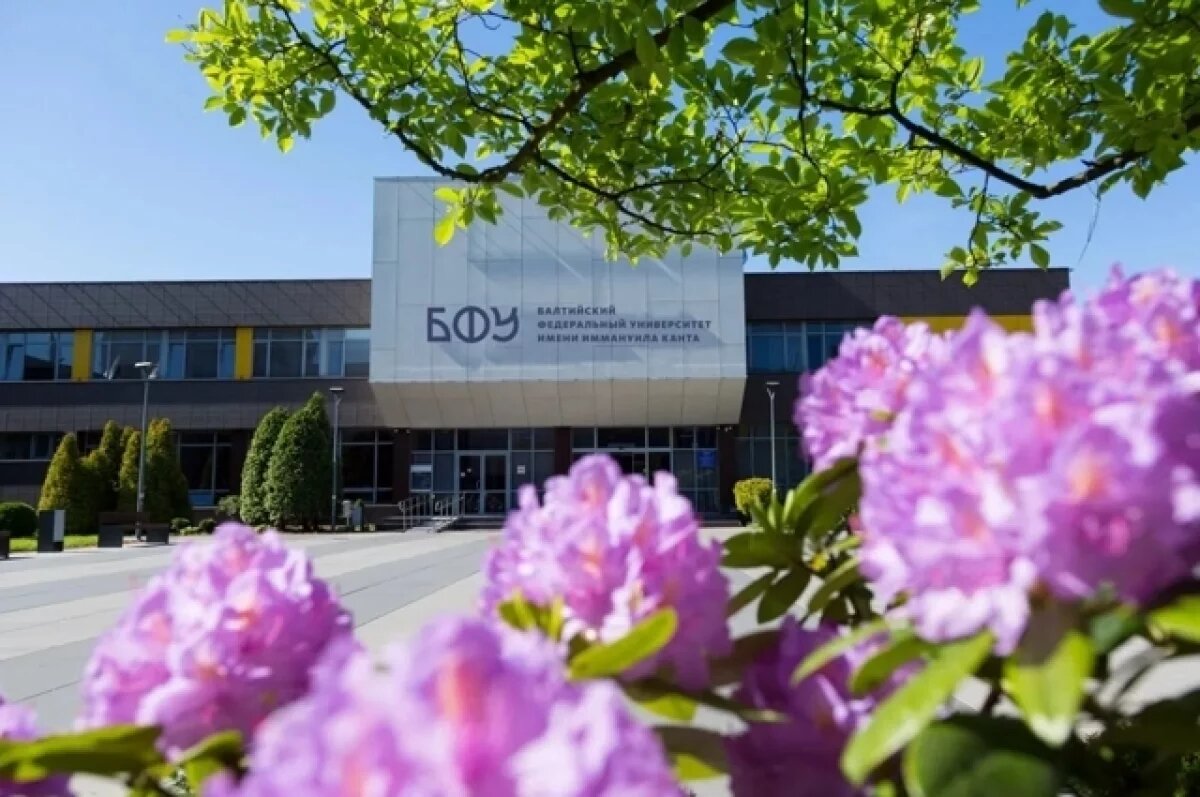    Многодетные могут получить компенсацию стоимости обучения детей в вузе