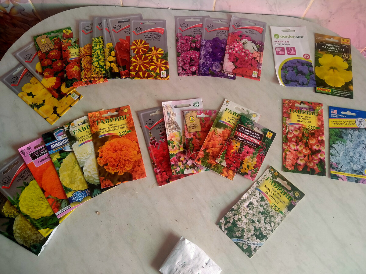 Фото на самом деле с прошлого сезона. Но, в этом ли смысл?