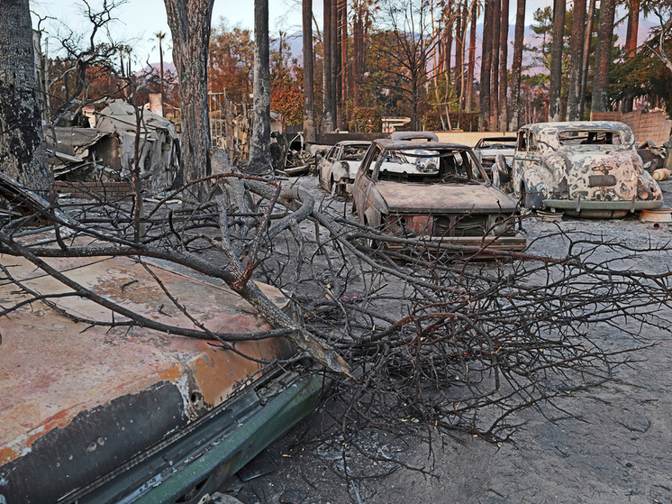 Фото: Nick Ut/Keystone Press Agency/Global Look Press