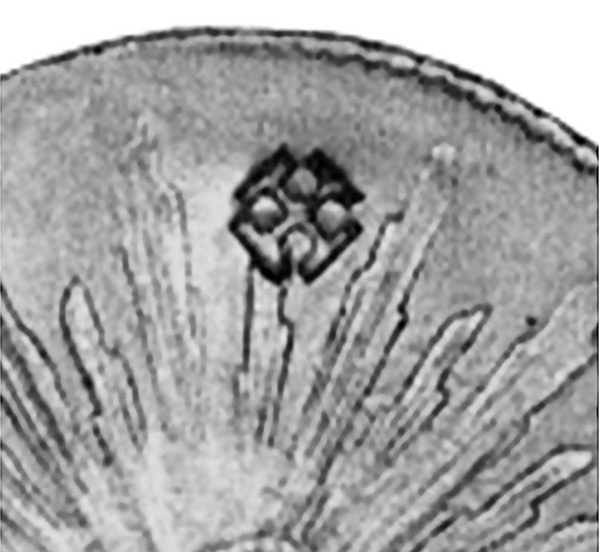 Надчекан в виде мальтийского креста на монете Мексики. Скрин из каталога Краузе. 