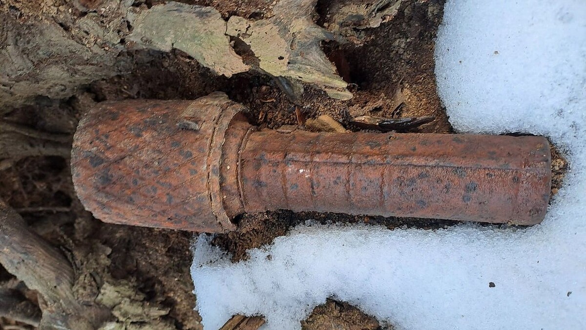    Фото: t.me/rosgvard_krasnodar