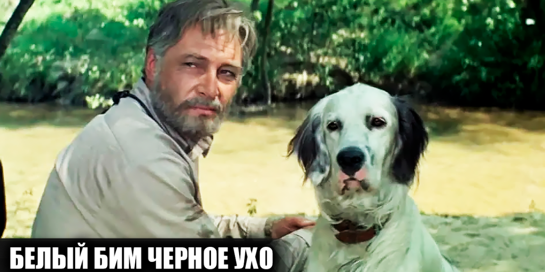 Как снимали фильм "Белый Бим Черное ухо": кадры со съемок и 12 интересных фактов о фильме