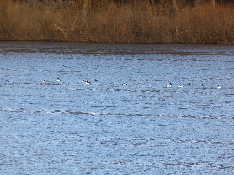     Фото: Юрий Галчёнков