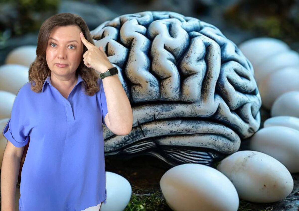 коллаж Другой Кухни