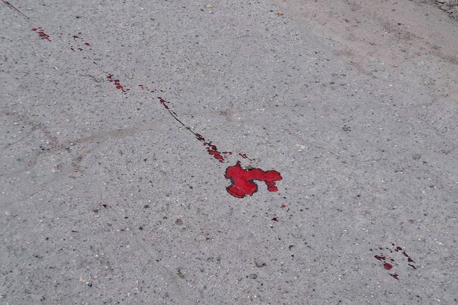    SALDO_VGA / Telegram